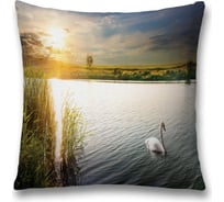 Декоративная наволочка JoyArty sl_18479