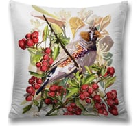 Декоративная наволочка JoyArty sl_38367