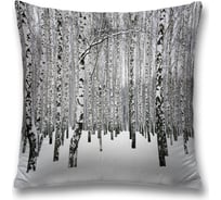 Декоративная наволочка JoyArty sl_18941