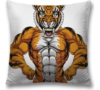 Декоративная наволочка JoyArty sl_32197