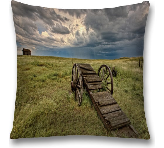 Декоративная наволочка JoyArty sl_38271 1