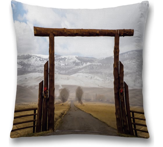 Декоративная наволочка JoyArty sl_37919