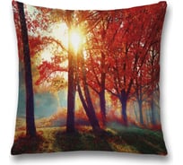 Декоративная наволочка JoyArty sl_32741