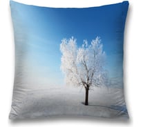 Декоративная наволочка JoyArty sl_18897