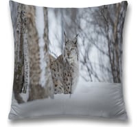 Декоративная наволочка JoyArty sl_32856