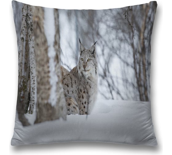 Декоративная наволочка JoyArty sl_32856 1