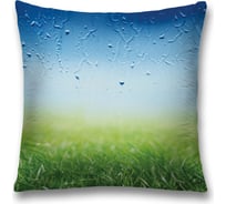 Декоративная наволочка JoyArty sl_4536