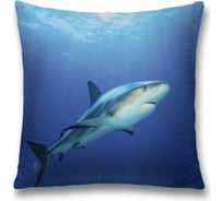 Декоративная наволочка JoyArty sl_38031