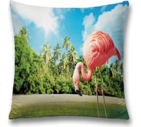 Декоративная наволочка JoyArty sl_4279