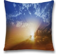 Декоративная наволочка JoyArty sl_17347