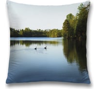 Декоративная наволочка JoyArty sl_32796