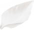 Сервировочное блюдо Walmer Leaf 18 см, фарфор W10100018 1