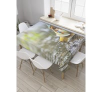 Прямоугольная скатерть JoyArty Квакша на улитке из сатена tc_32560_120x145
