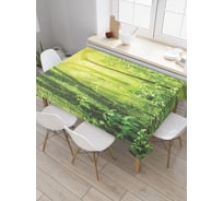 Прямоугольная скатерть JoyArty Рассвет в лесу из сатена tc_29804_120x145