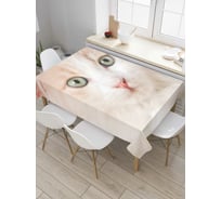 Прямоугольная скатерть JoyArty Внимание кота из сатена tc_4489_120x145