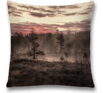 Декоративная наволочка JoyArty sl_4135