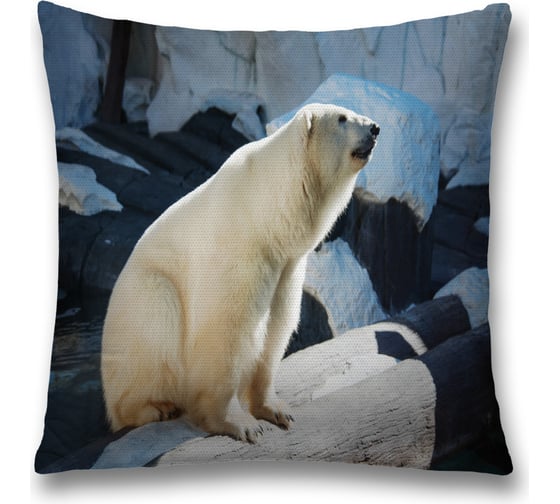 Декоративная наволочка JoyArty sl_37575