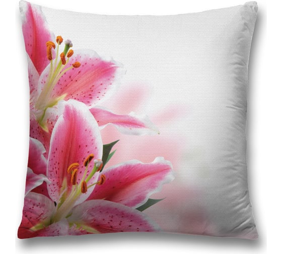 Декоративная наволочка JoyArty sl_55142 1