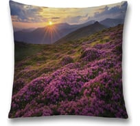 Декоративная наволочка JoyArty sl_32921