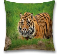 Декоративная наволочка JoyArty sl_38664