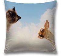 Декоративная наволочка JoyArty sl_38603