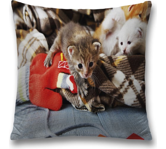 Декоративная наволочка JoyArty sl_32586 1