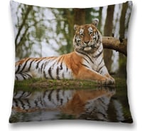 Декоративная наволочка JoyArty sl_38654