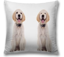 Декоративная наволочка JoyArty sl_59187