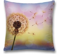 Декоративная наволочка JoyArty sl_34024