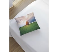 Декоративная наволочка JoyArty sl_60555