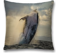 Декоративная наволочка JoyArty sl_33579