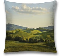 Декоративная наволочка JoyArty sl_32819