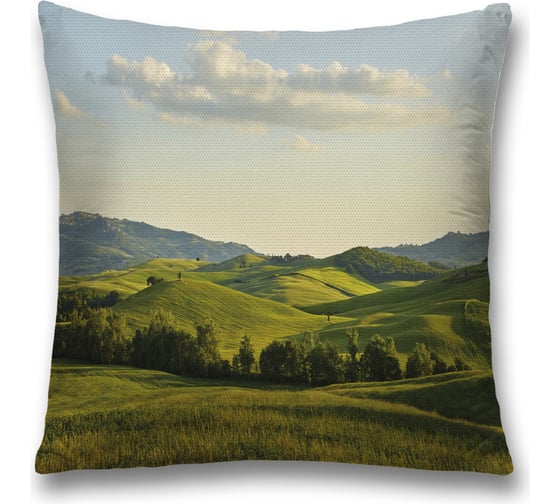 Декоративная наволочка JoyArty sl_32819 1