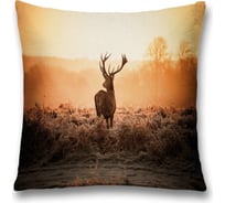 Декоративная наволочка JoyArty sl_35766