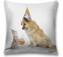 Декоративная наволочка JoyArty sl_34403