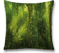 Декоративная наволочка JoyArty sl_38862