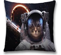 Декоративная наволочка JoyArty sl_33516