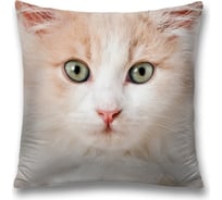 Декоративная наволочка JoyArty sl_4489