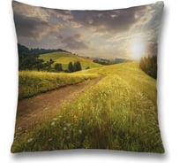 Декоративная наволочка JoyArty sl_32421