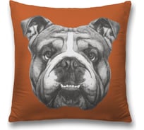 Декоративная наволочка JoyArty sl_33028