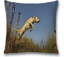 Декоративная наволочка JoyArty sl_35789