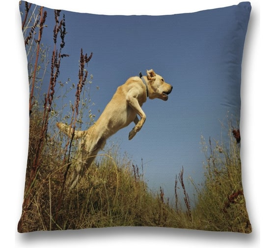 Декоративная наволочка JoyArty sl_35789 1