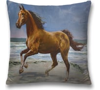 Декоративная наволочка JoyArty sl_27949