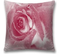 Декоративная наволочка JoyArty sl_35520