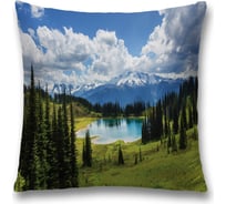 Декоративная наволочка JoyArty sl_20748