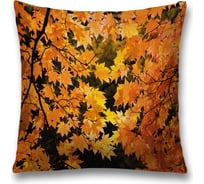 Декоративная наволочка JoyArty sl_37671