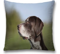 Декоративная наволочка JoyArty sl_35796