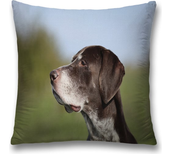 Декоративная наволочка JoyArty sl_35796 1