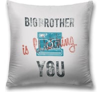 Декоративная наволочка JoyArty sl_22044