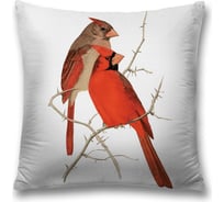 Декоративная наволочка JoyArty sl_3414